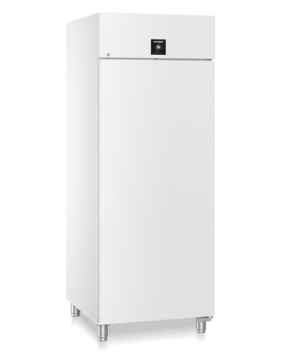 Професійна Liebherr BFPvg 8401 Performance