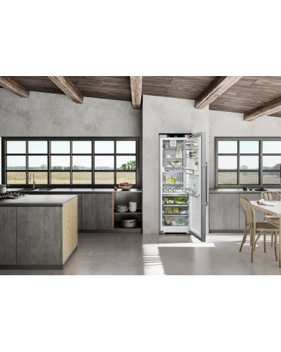 Холодильник Liebherr RBsdc 525i prime BioFresh