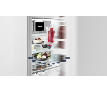 AutoDoor